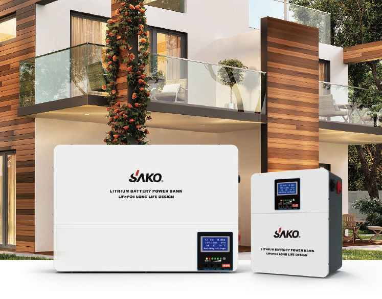 Li-Wall Wall Mounted Lithium Battery Pack